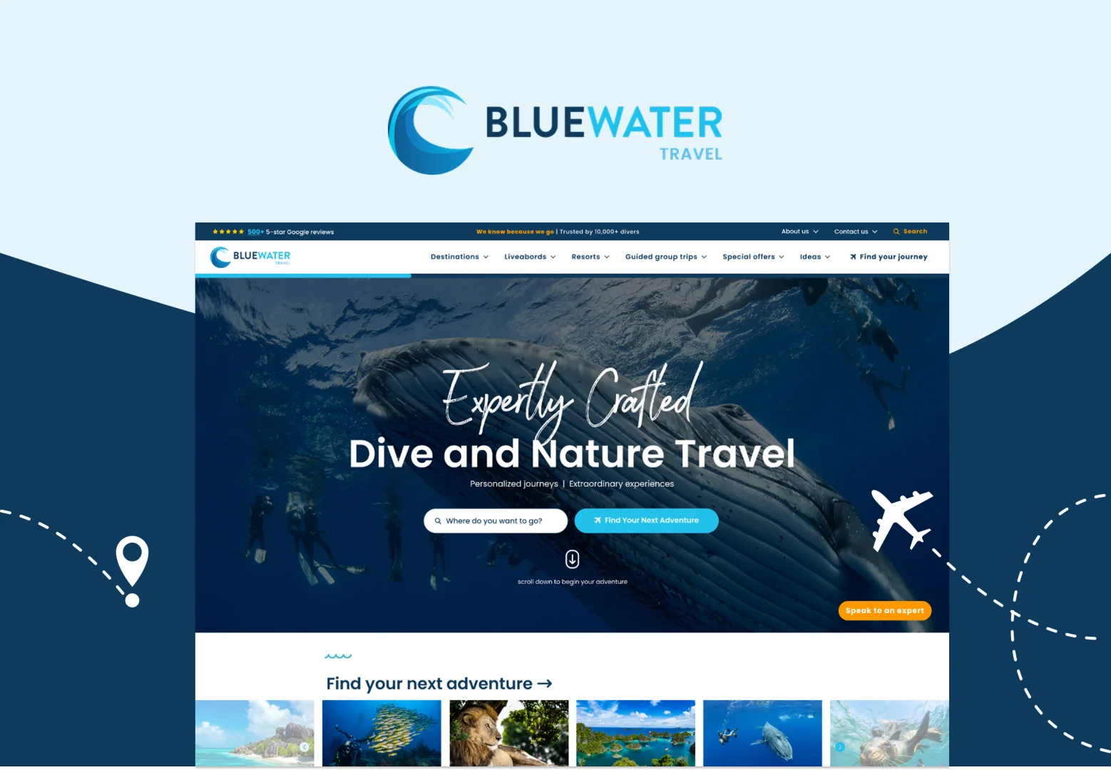 Bluewater Travel