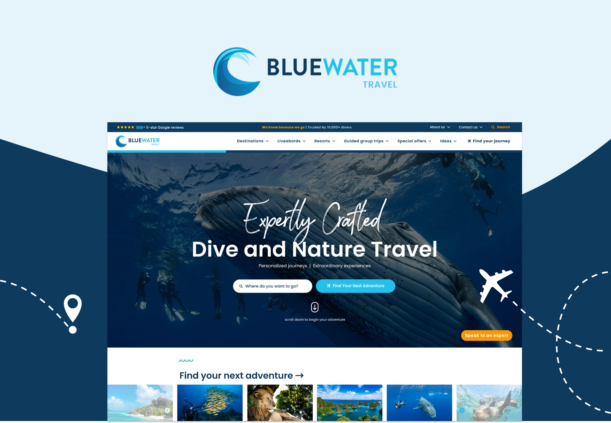 Bluewater Travel