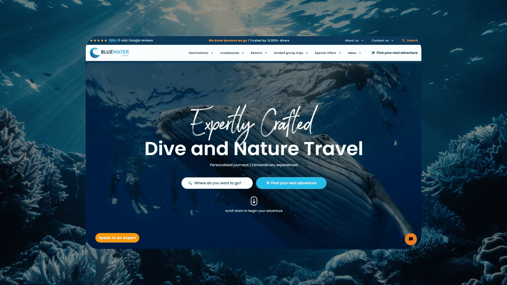 Bluewater Travel project challenges