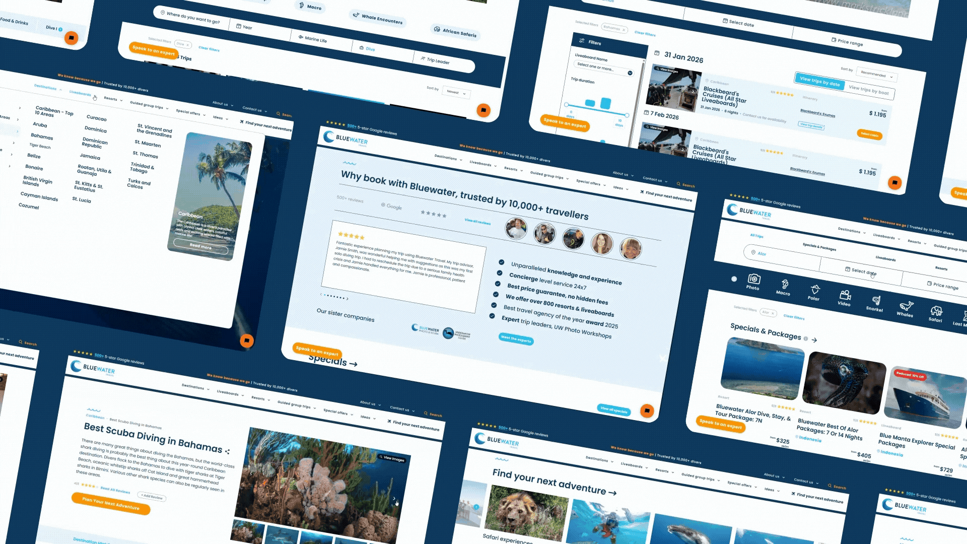 Bluewater Travel project solutions