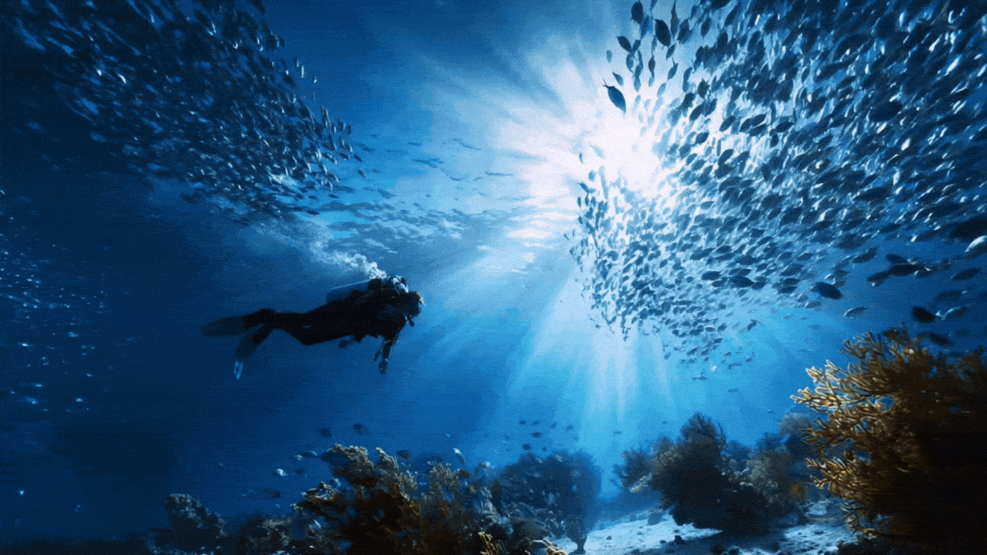 Bluewater Travel project results